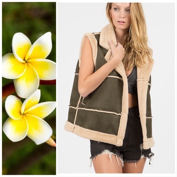 Cheyenne Suede Faux Fur Vest - Picture 5 of 10